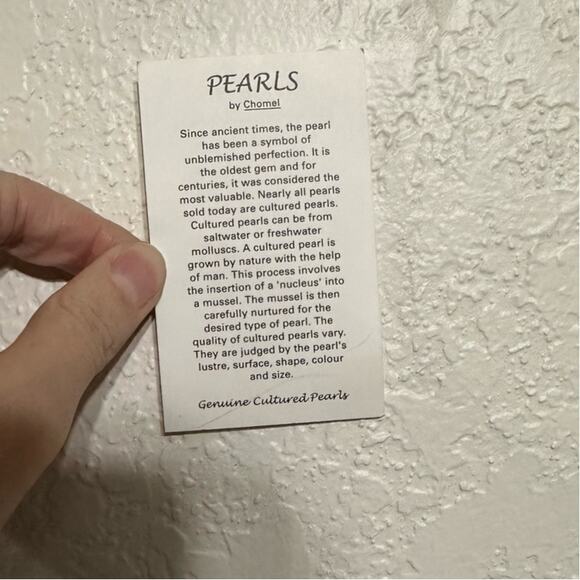 Vintage Christian Dior Velvet Mini Hand Bag in Red Cardinal w/ Pearl Straps - Picture 12 of 14